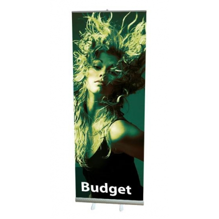Budget Roll-up Banner + Print
